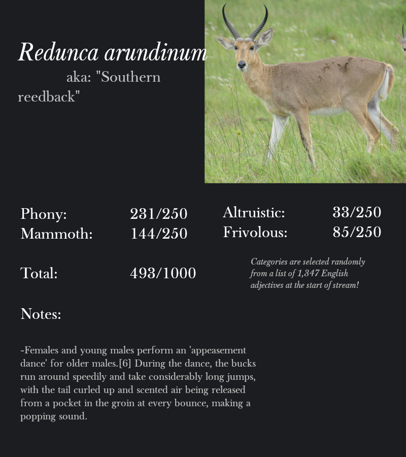 Redunca arundinum